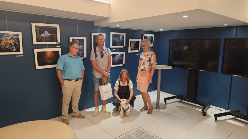 Expositions Vincent Dessaint passées