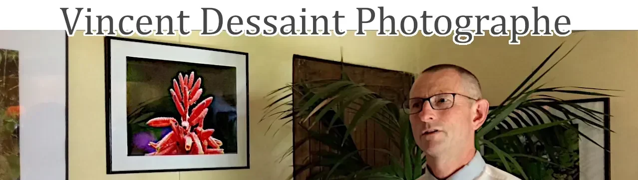 Vincent Dessaint photographe